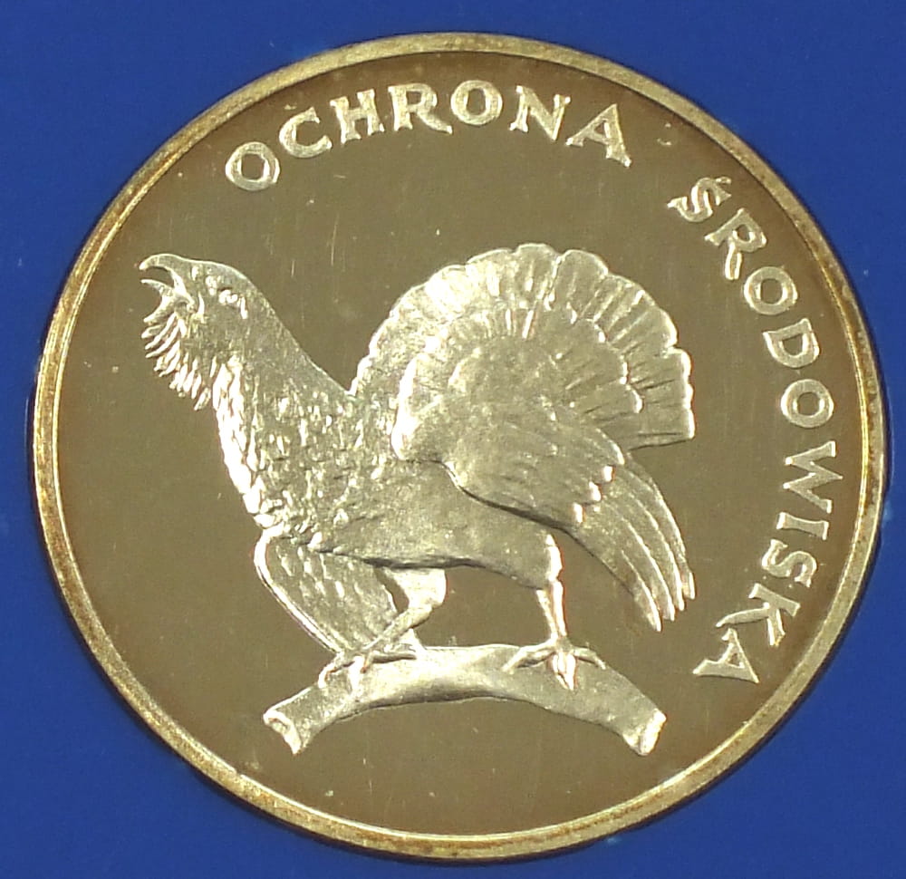 100 zł Głuszec