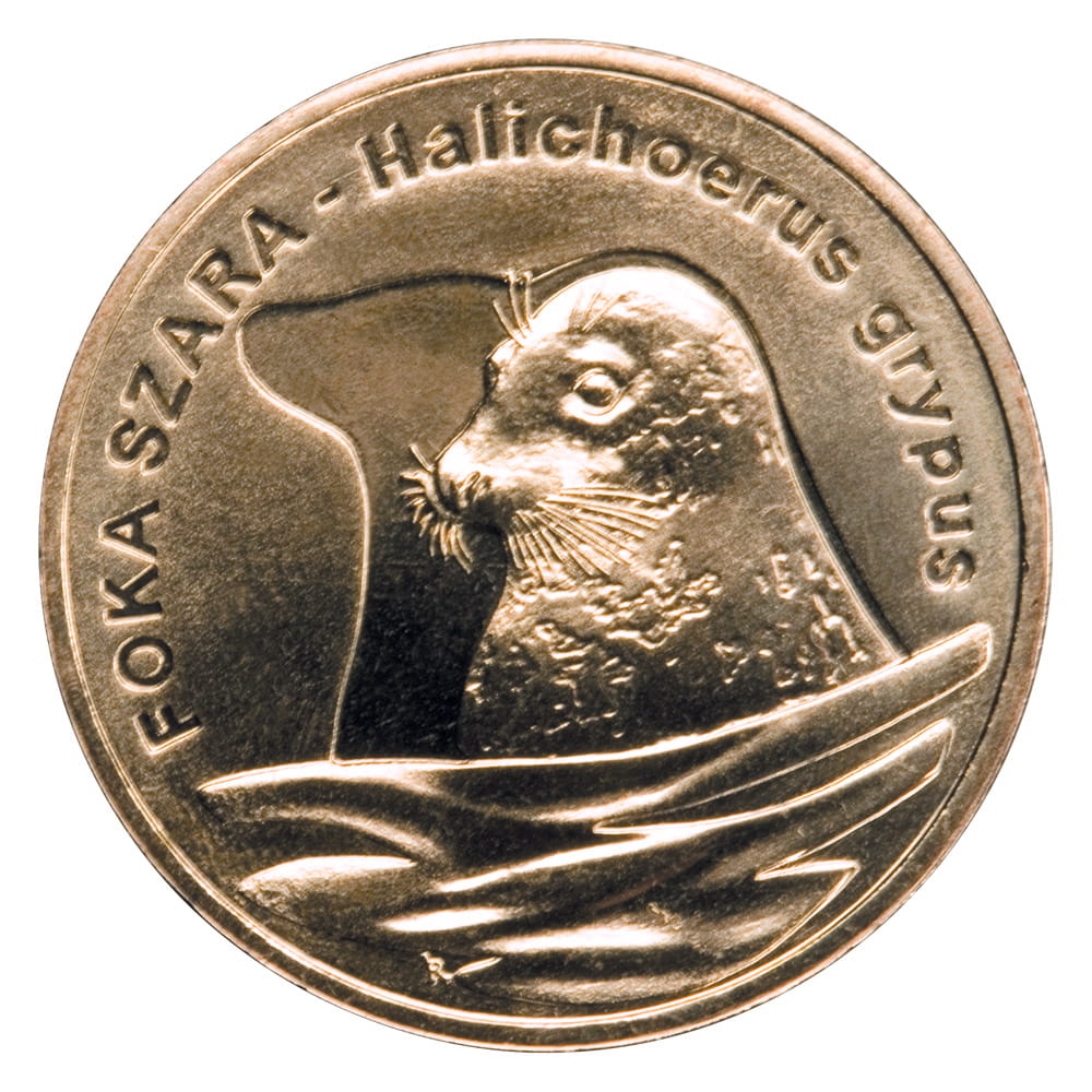 2 zł Foka szara (łac. Halichoerus grypus)