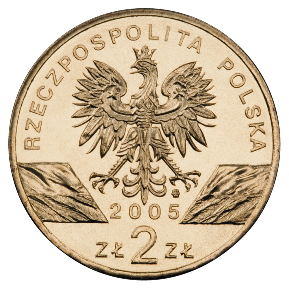 2 zł Puchacz (łac. Bubo bubo)