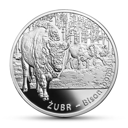 20 zł Zwierzęta świata – żubr
