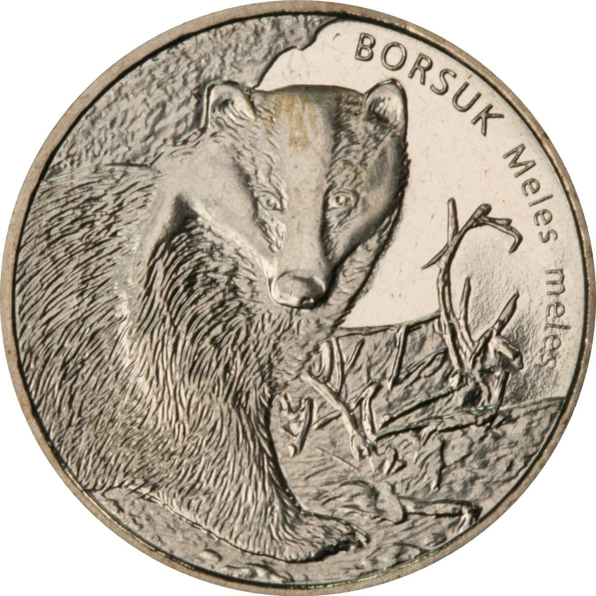 2 zł Borsuk (Meles meles)