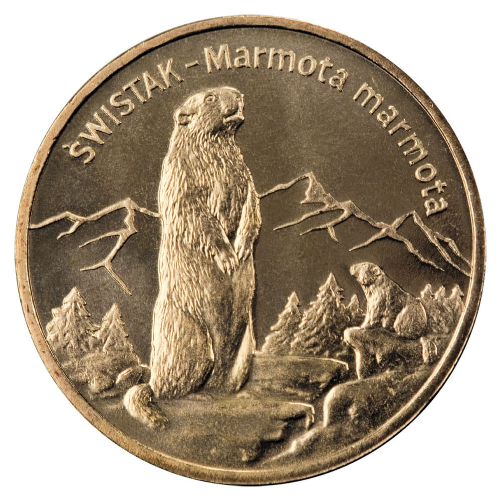 2 zł Świstak (łac. Marmota marmota)