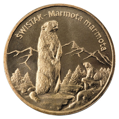 2 zł Świstak (łac. Marmota marmota)