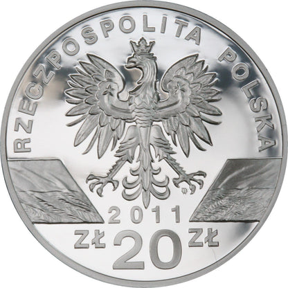 20 zł Borsuk (Meles meles)