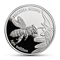 20 zł Zwierzęta Świata – pszczoła miodna