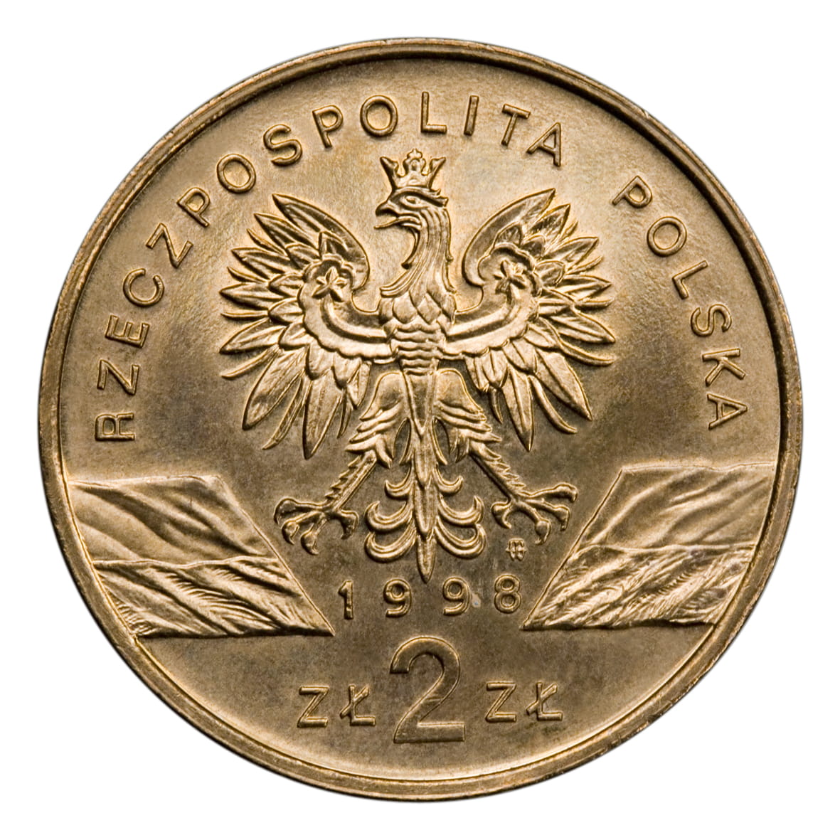 2 zł Ropucha paskówka