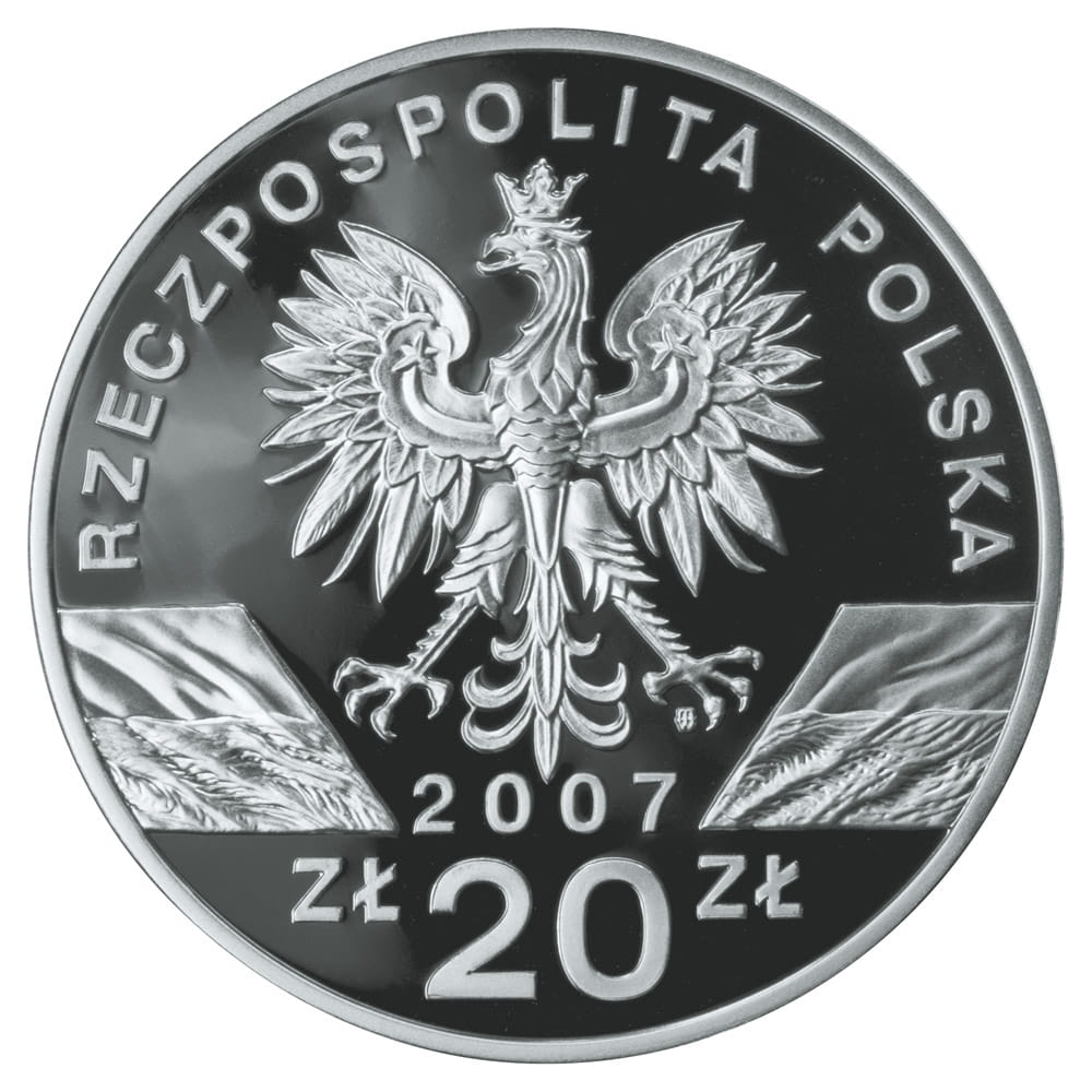 20 zł Foka szara (łac. Halichoerus grypus)